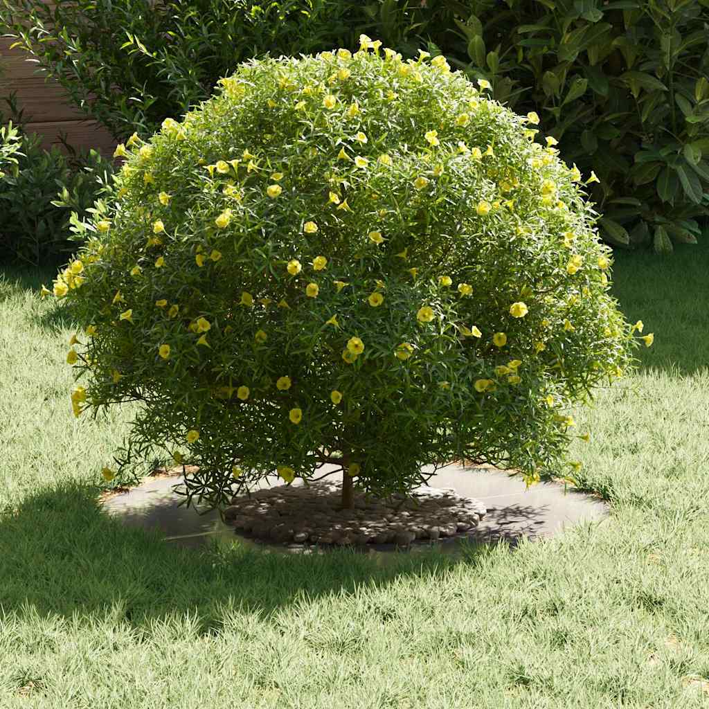 tinkamas plokštiems medžio žiedams 5 pcs Sidabro Ø30 / 60 cm