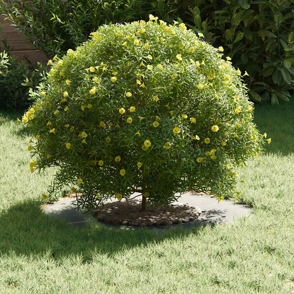 tinkamas plokščiam medžio žiedui Sidabro Ø30 / 60 cm