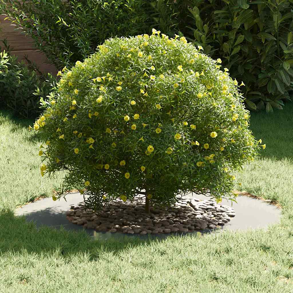 tinkamas plokštiems medžio žiedams 5 vnt. Sidabro Ø50/80 cm