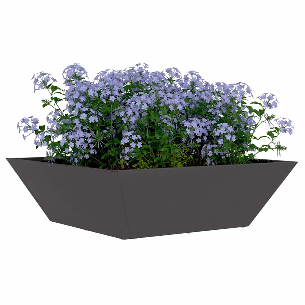 Sodo vazonas Juoda 50 x 50 x 15 cm Šaltai valcuotas plienas