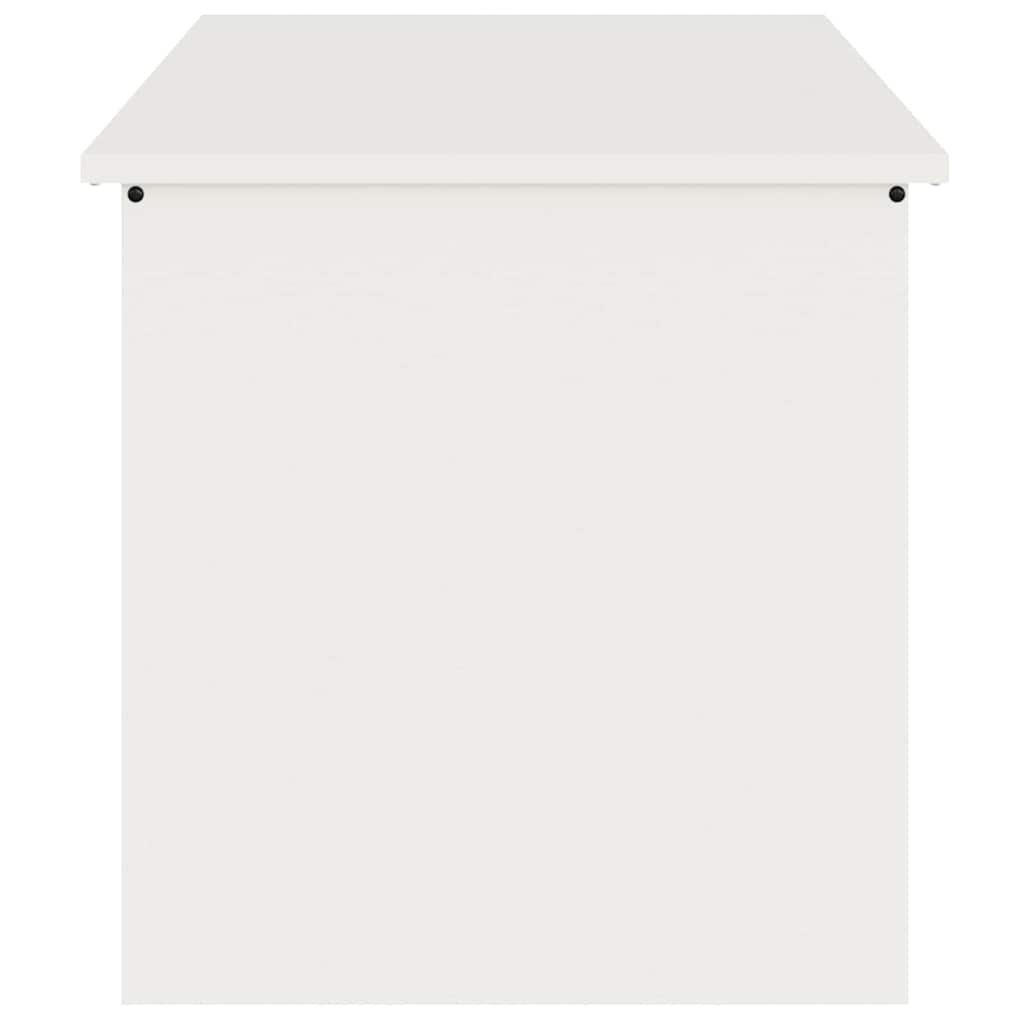 Lauko saugojimo dėžė Balta 100 x 50,5 x 50 cm Plienas