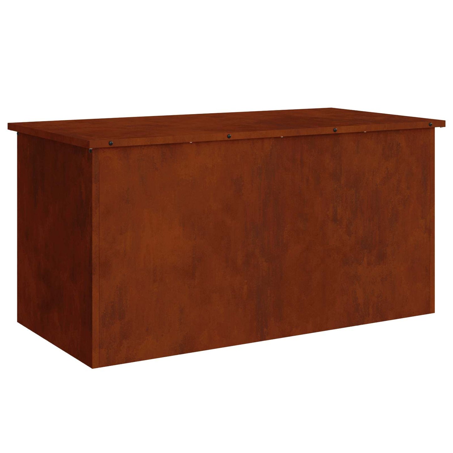 Lauko saugojimo dėžė Rūdijanti 100 x 50,5 x 50 cm Plienas