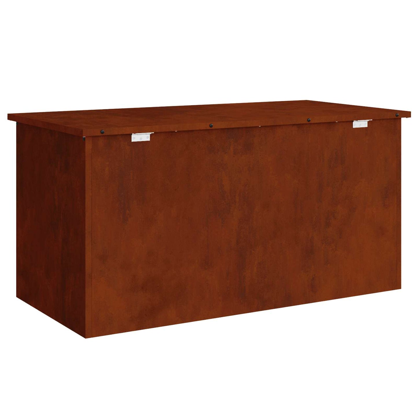 Lauko saugojimo dėžė Rūdijanti 100 x 50,5 x 50 cm Plienas