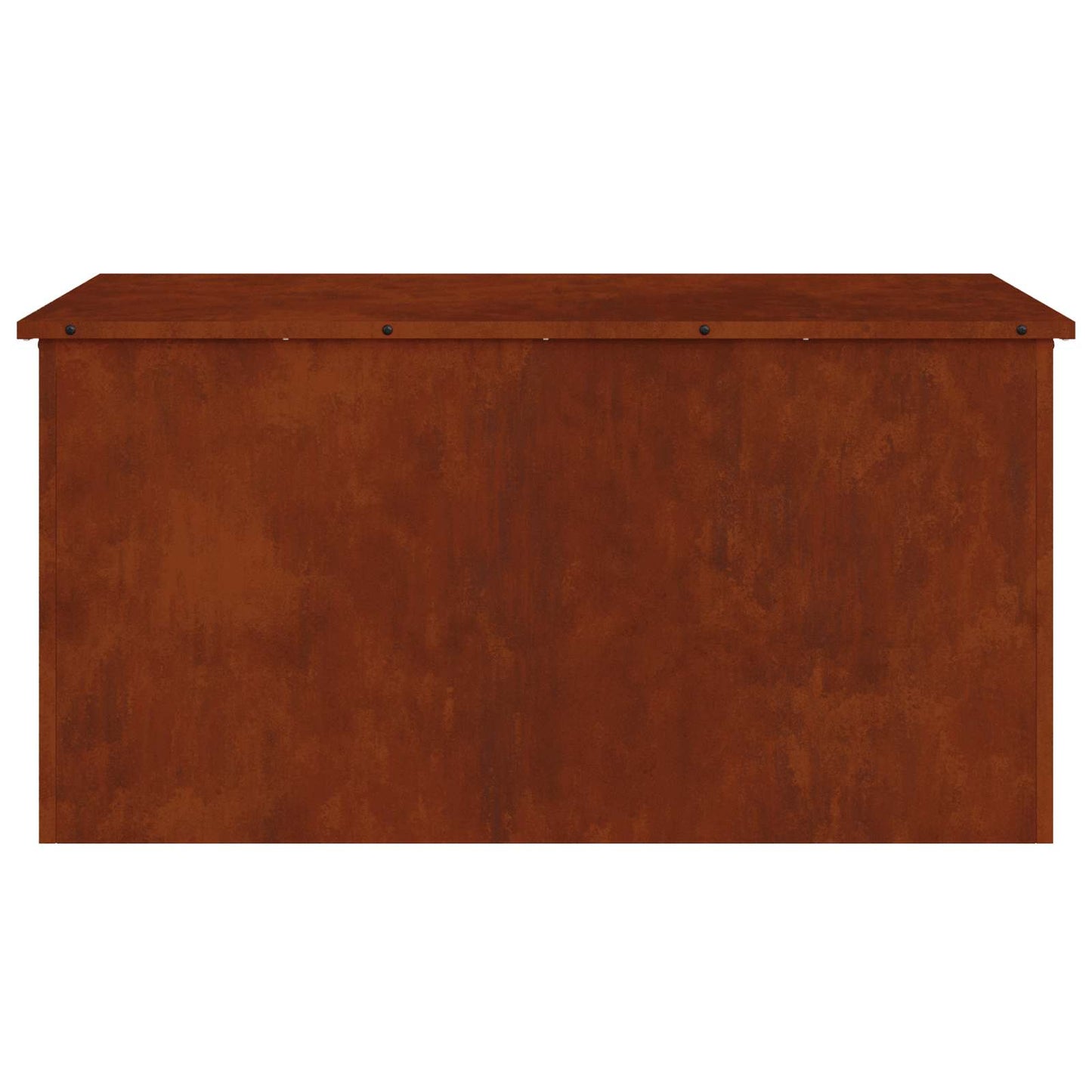 Lauko saugojimo dėžė Rūdijanti 100 x 50,5 x 50 cm Plienas