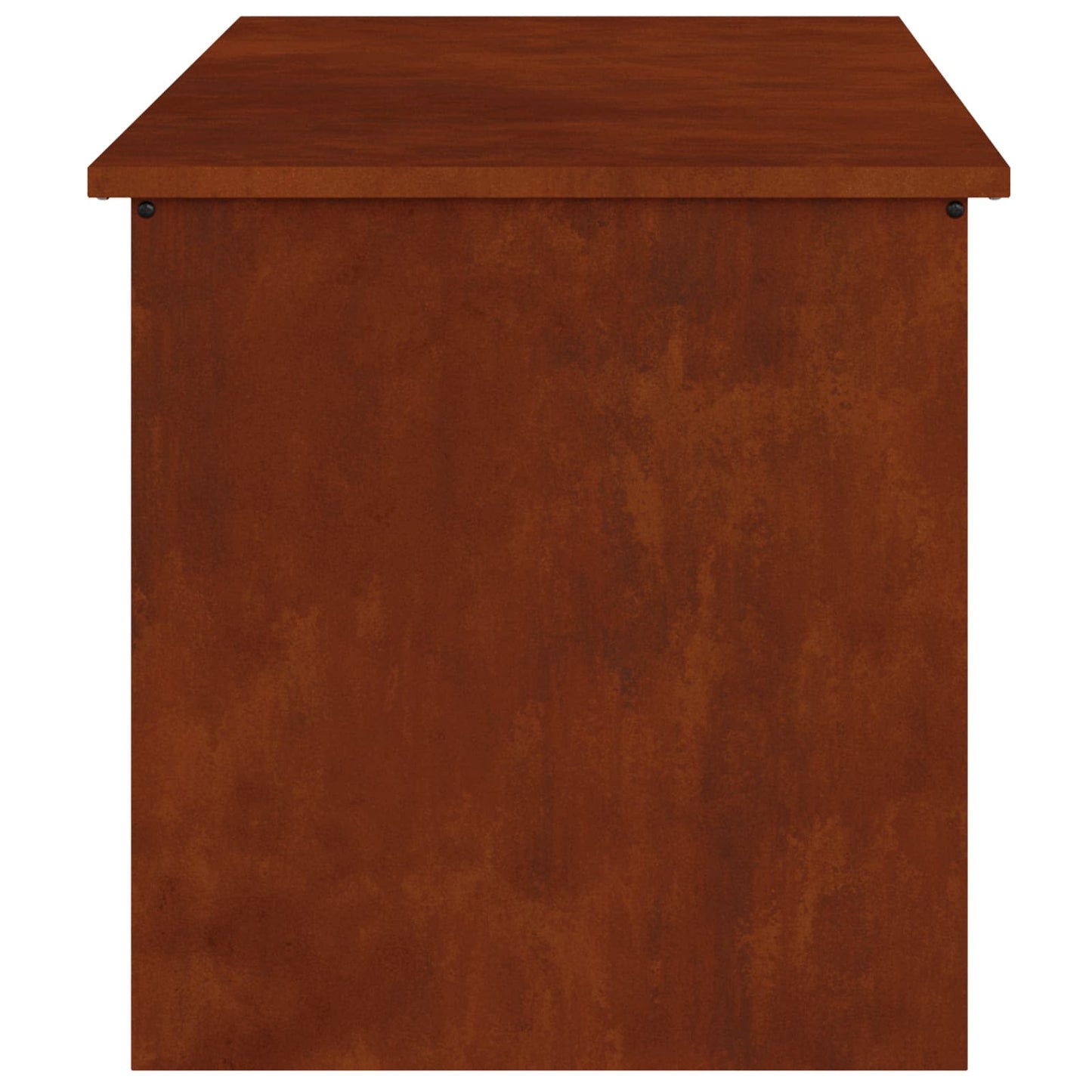 Lauko saugojimo dėžė Rūdijanti 100 x 50,5 x 50 cm Plienas