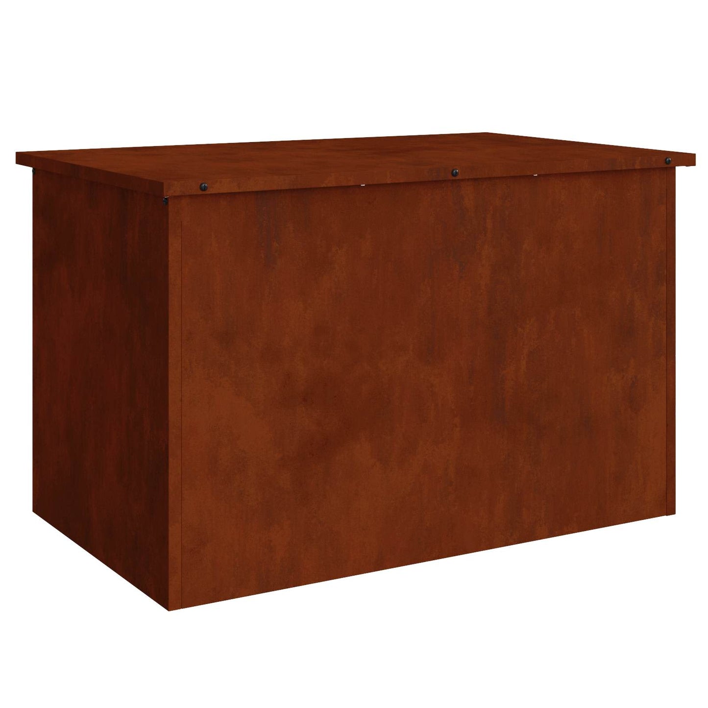 Lauko saugojimo dėžė Rūdijanti 80 x 50,5 x 50 cm Plienas