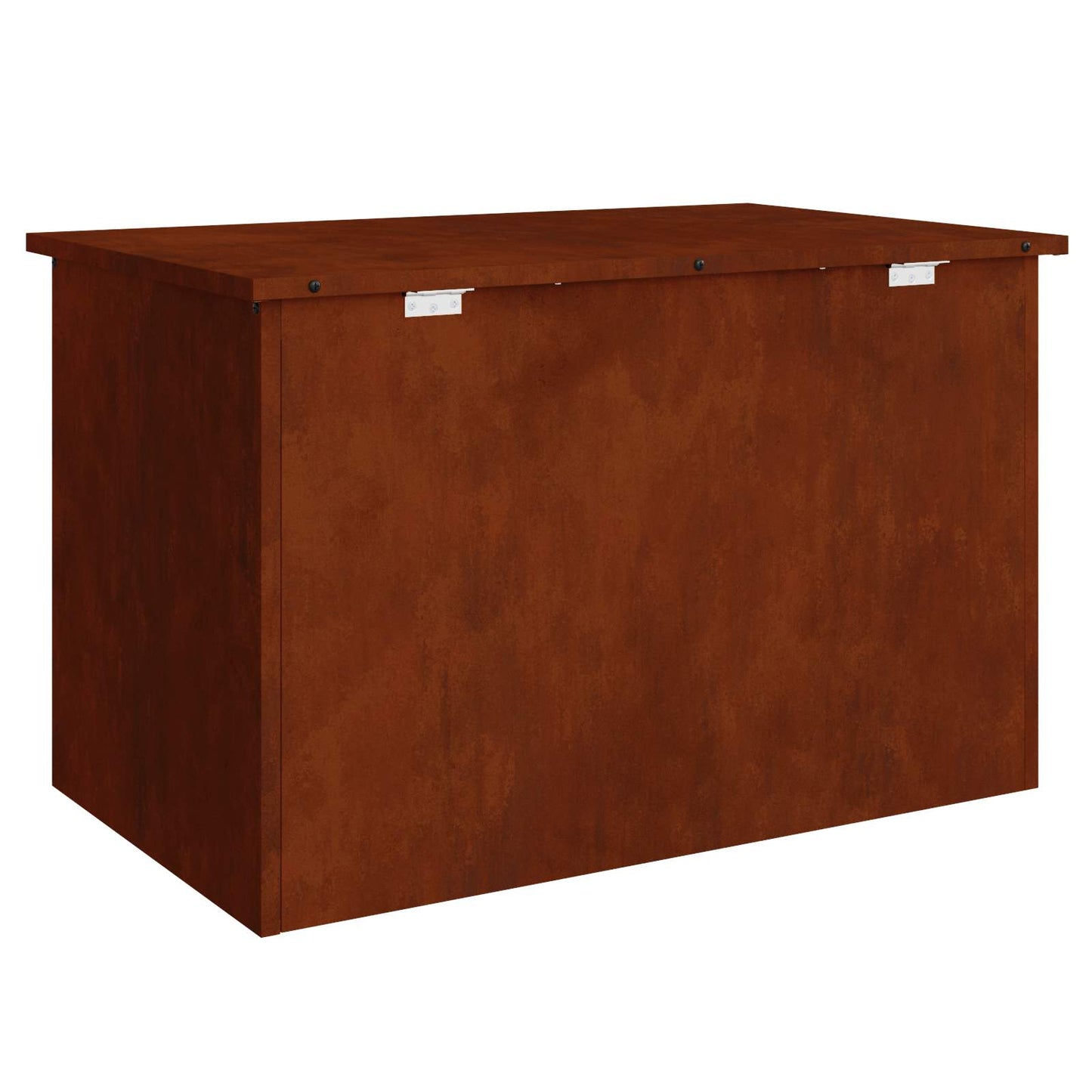 Lauko saugojimo dėžė Rūdijanti 80 x 50,5 x 50 cm Plienas