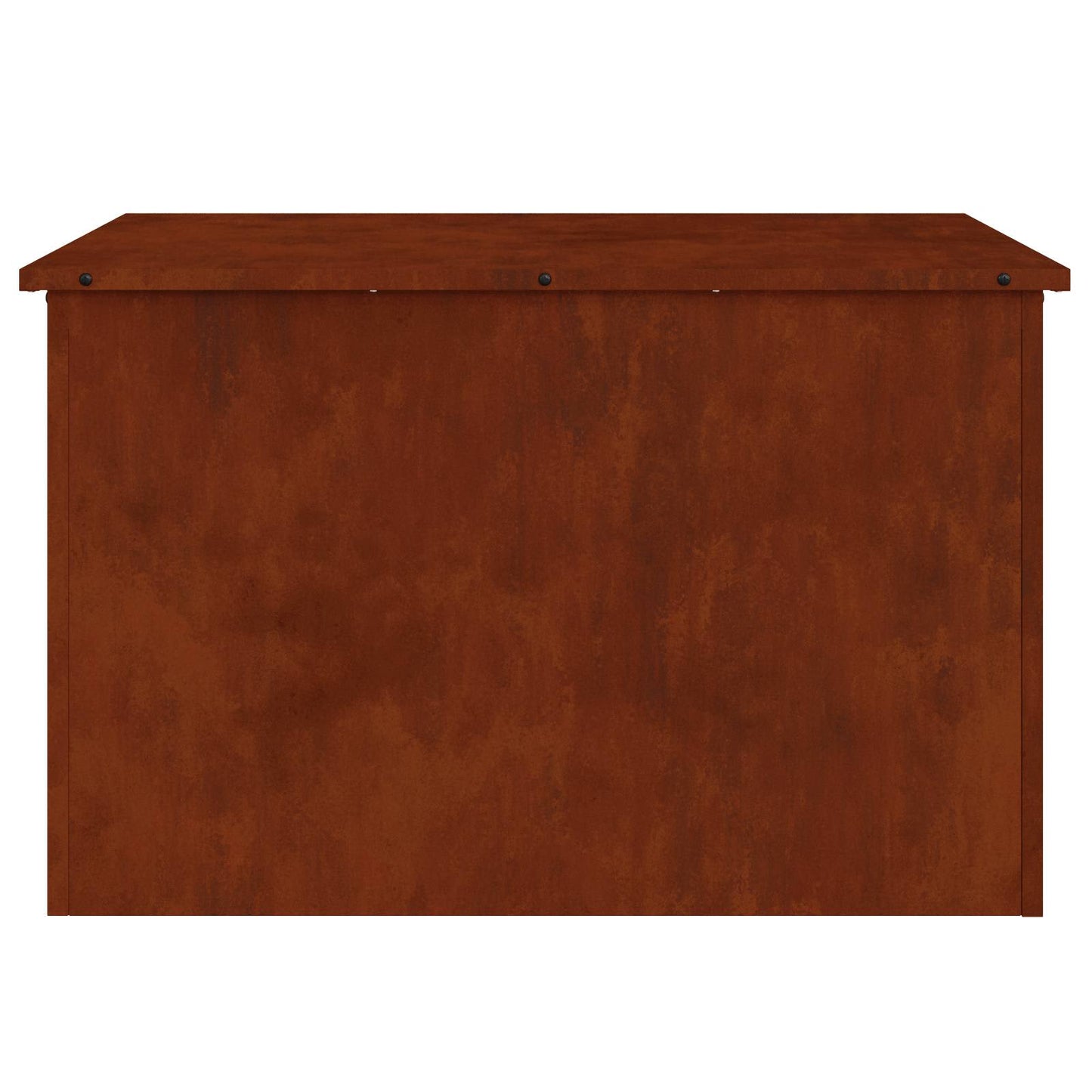 Lauko saugojimo dėžė Rūdijanti 80 x 50,5 x 50 cm Plienas