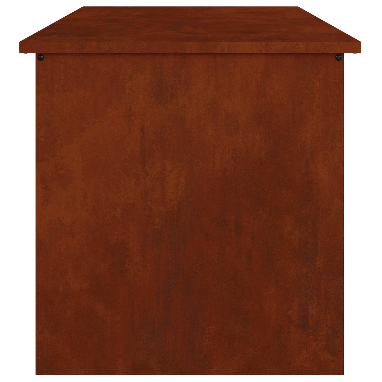 Lauko saugojimo dėžė Rūdijanti 80 x 50,5 x 50 cm Plienas