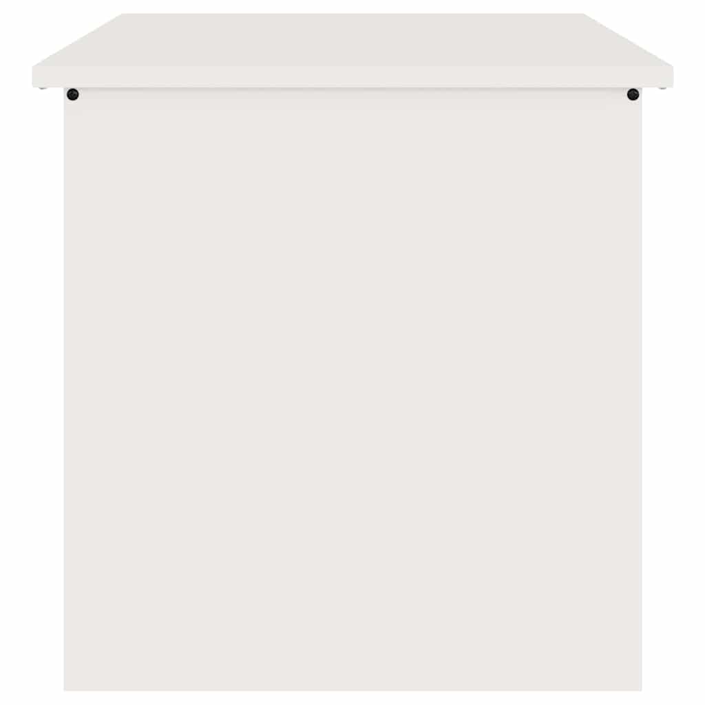 Lauko saugojimo dėžė Balta 55 x 50,5 x 50 cm Plienas