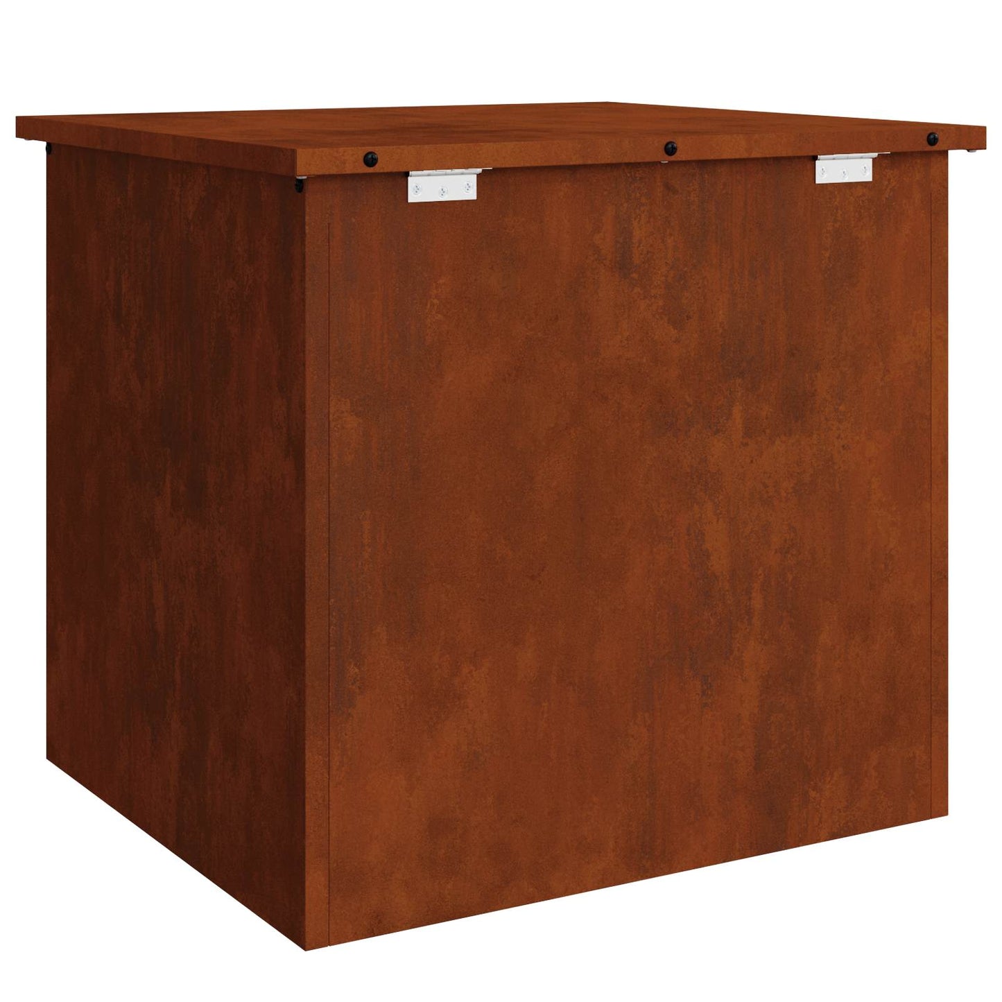 Lauko saugojimo dėžė Rūdijanti 55 x 50,5 x 50 cm Plienas