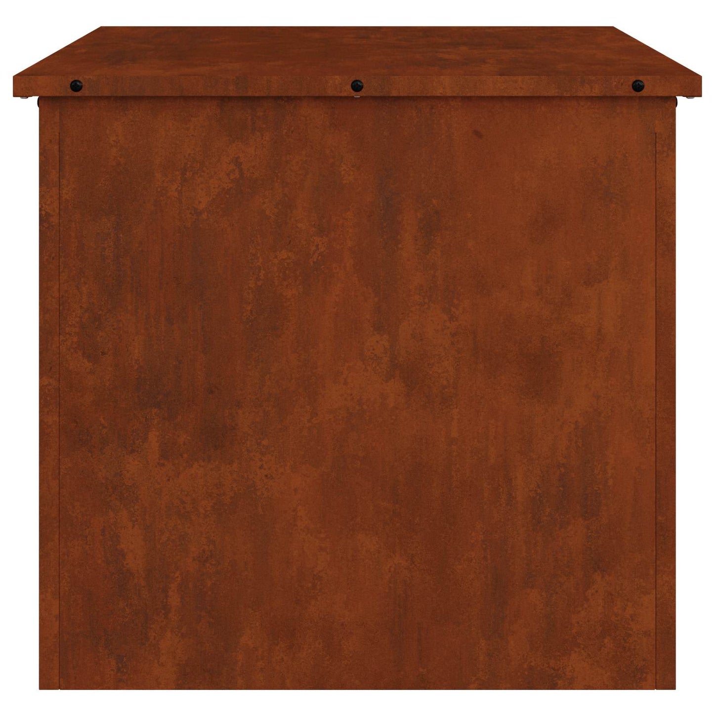 Lauko saugojimo dėžė Rūdijanti 55 x 50,5 x 50 cm Plienas