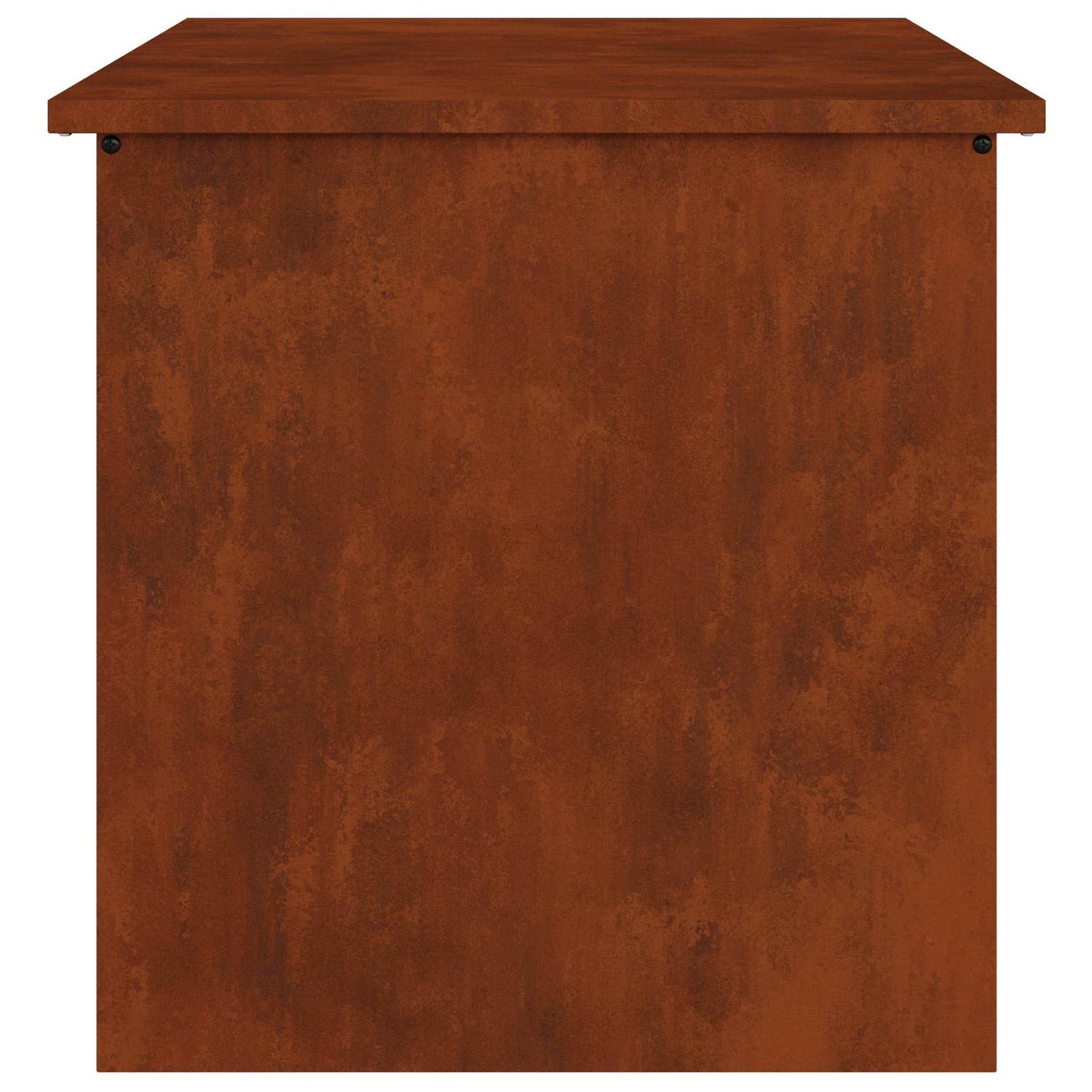 Lauko saugojimo dėžė Rūdijanti 55 x 50,5 x 50 cm Plienas