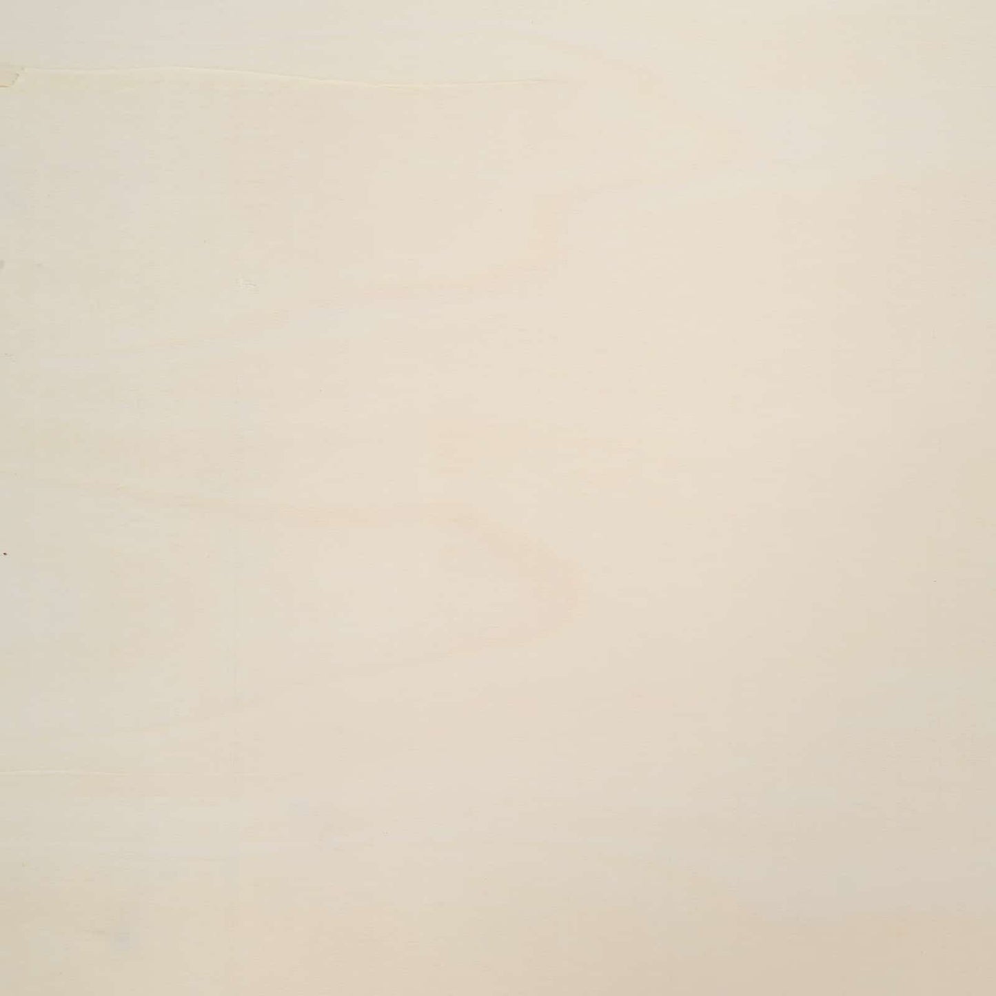 Sieninis vitrina Sieninis Smėlio 100 x 8,5 x 36 cm