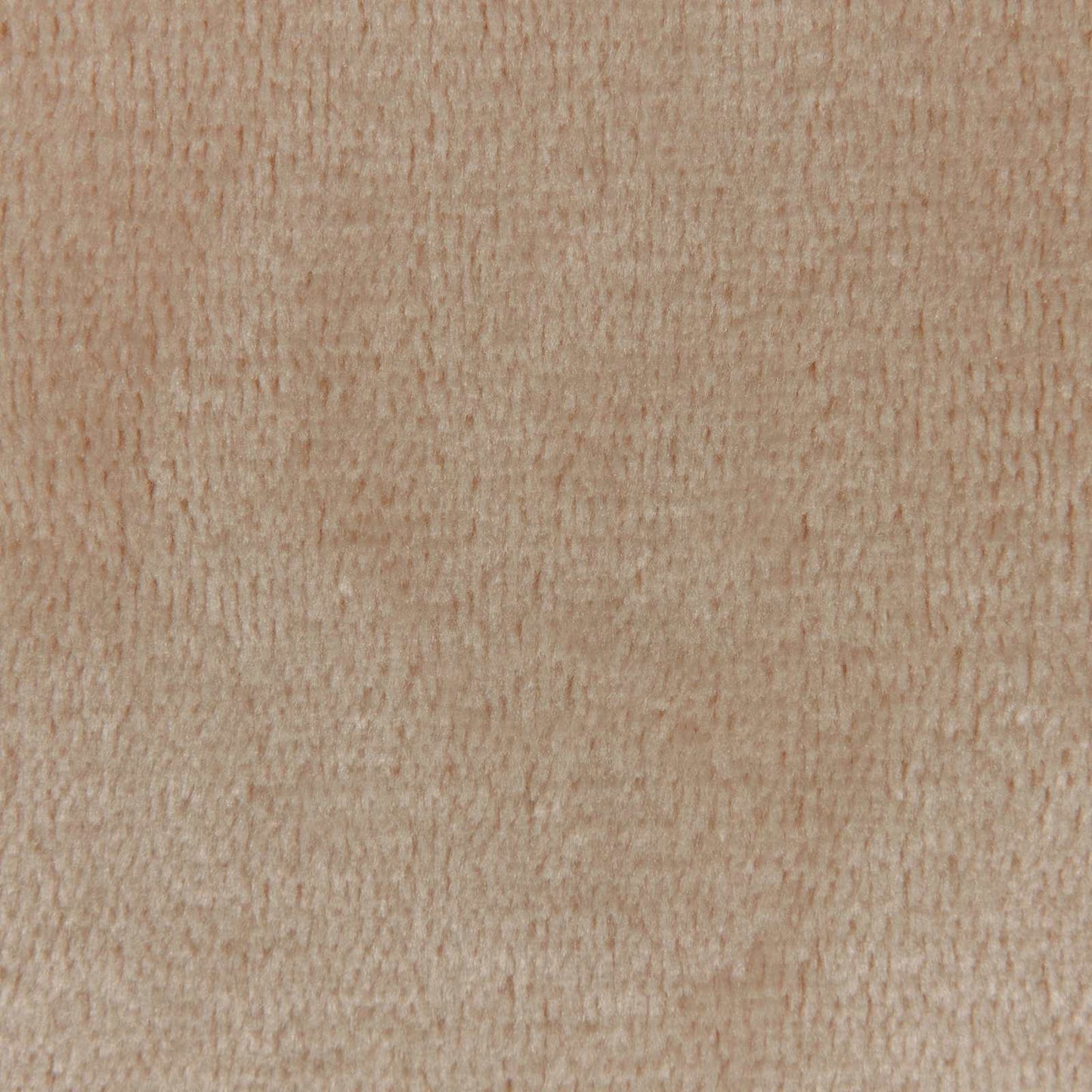 Apklotas Kupranugario 150 x 200 cm Flysas