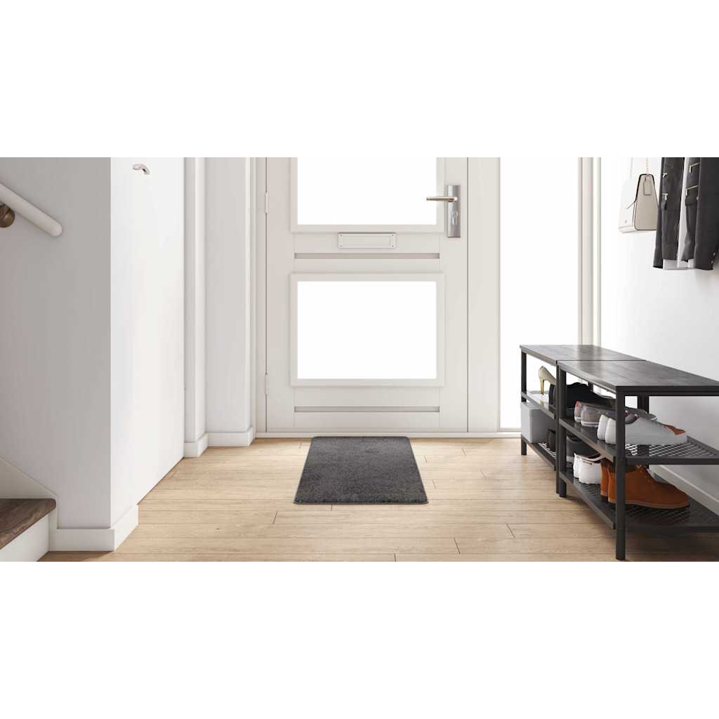 Kilimėlio bėgimo kilimas Pilka 50 x 150 cm