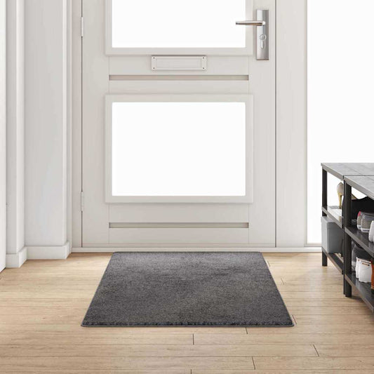 Kilimėlio bėgimo kilimas Pilka 80 x 200 cm