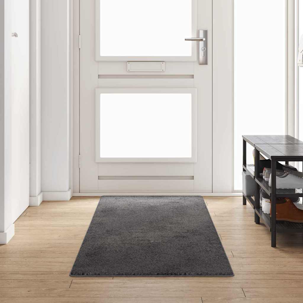 Kilimėlio bėgimo kilimas Pilka 80 x 300 cm