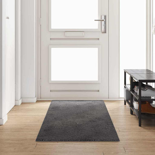 Kilimėlio bėgimo kilimas Pilka 80 x 300 cm