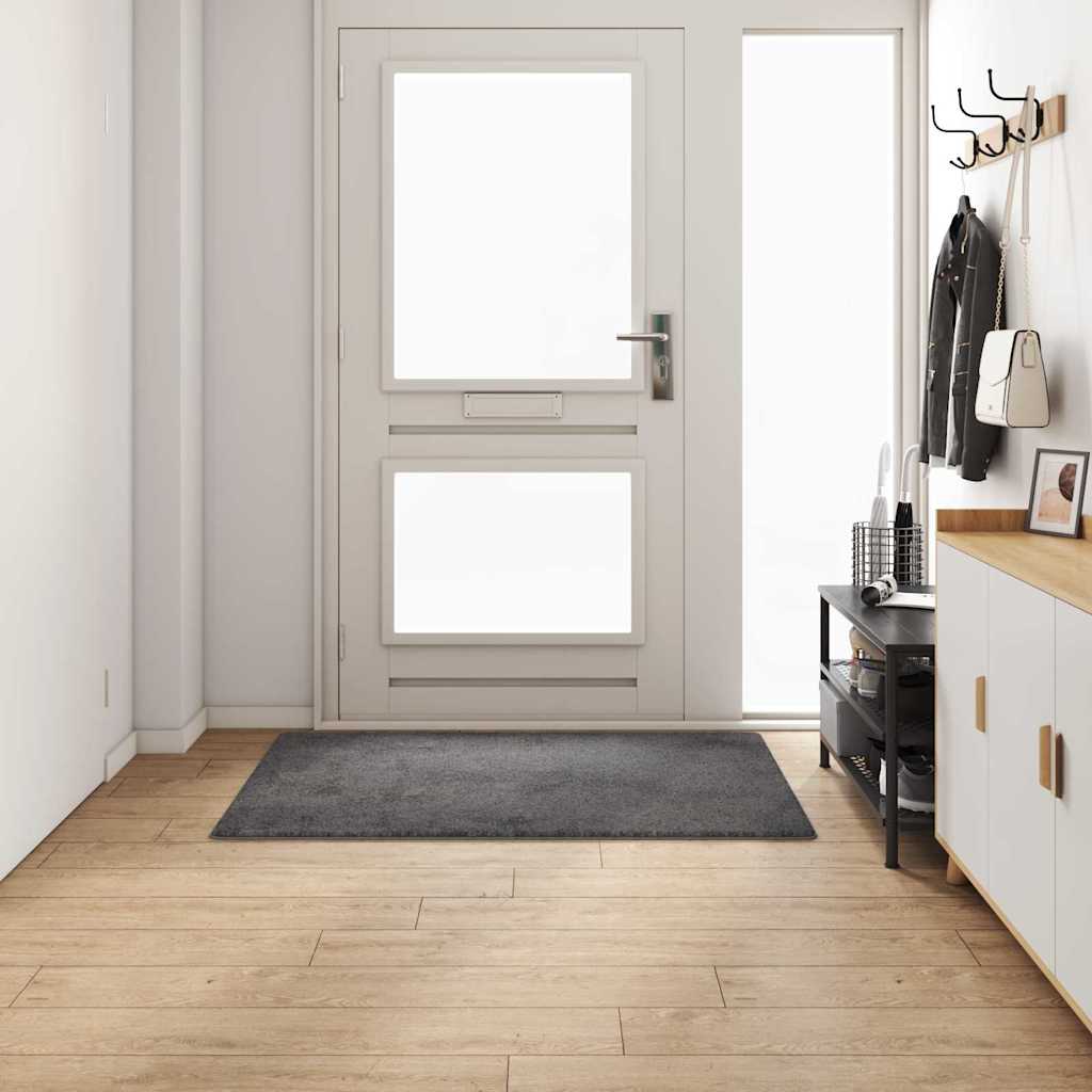 Kilimėlio bėgimo kilimas Pilka 100 x 150 cm