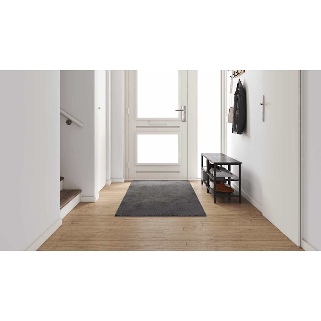 Kilimėlio bėgimo kilimas Pilka 100 x 300 cm
