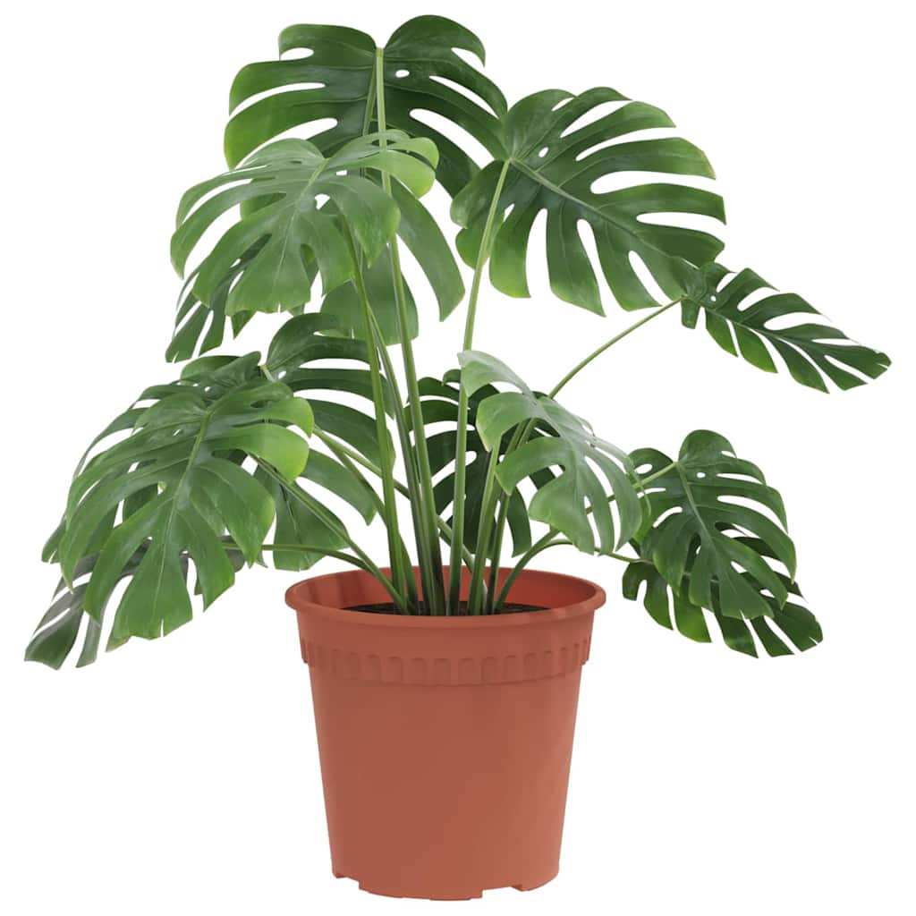 Apvalus gėlių vazonas 24 pcs Raudona plyta Ø 19 x 16 cm