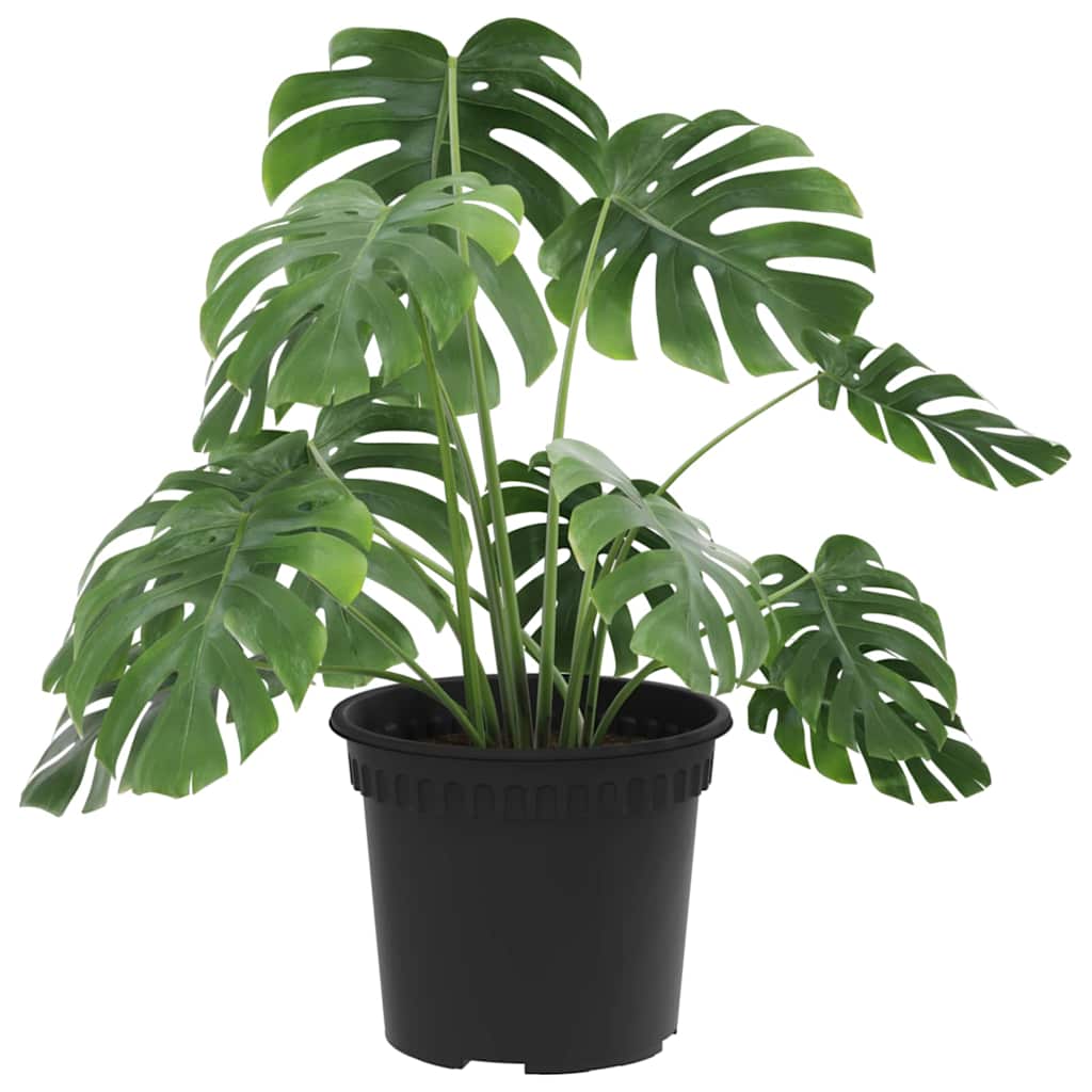 Apvalus gėlių vazonas 24 pcs Juoda Ø 12,5 x 10 cm Plastmasė