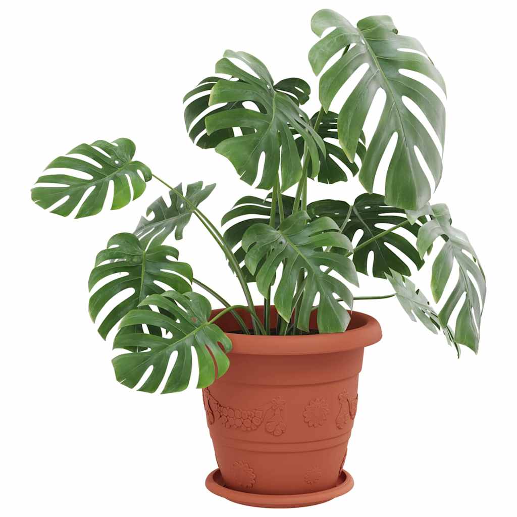 Apvalus gėlių padėklas 6 pcs Raudona plyta Ø 19 x 2 cm
