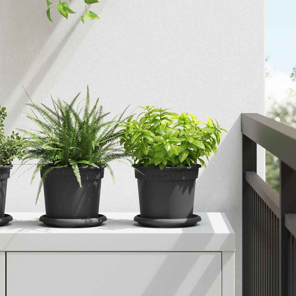 Apvalus gėlių padėklas 6 pcs Juoda Ø 14 x 2 cm Plastmasė