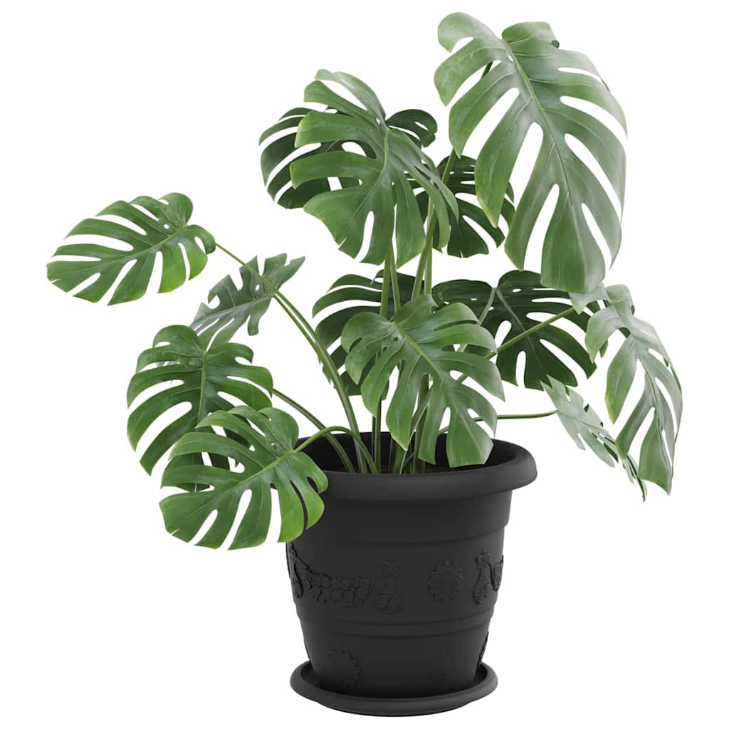 Apvalus gėlių padėklas 6 pcs Juoda Ø 19 x 2 cm Plastmasė