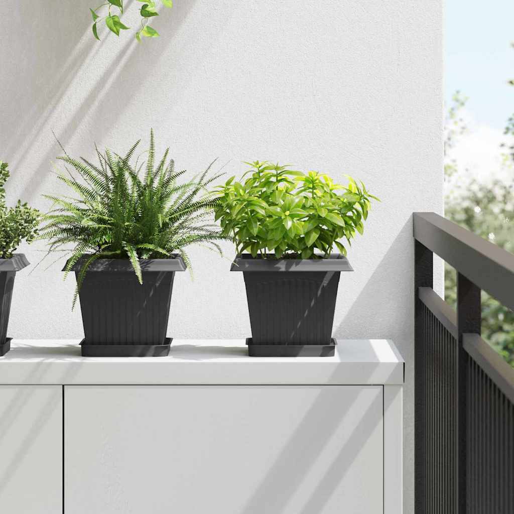Kvadratinis gėlių vazonas 6 pcs Juoda 20 x 20 x 16 cm Plastmasė