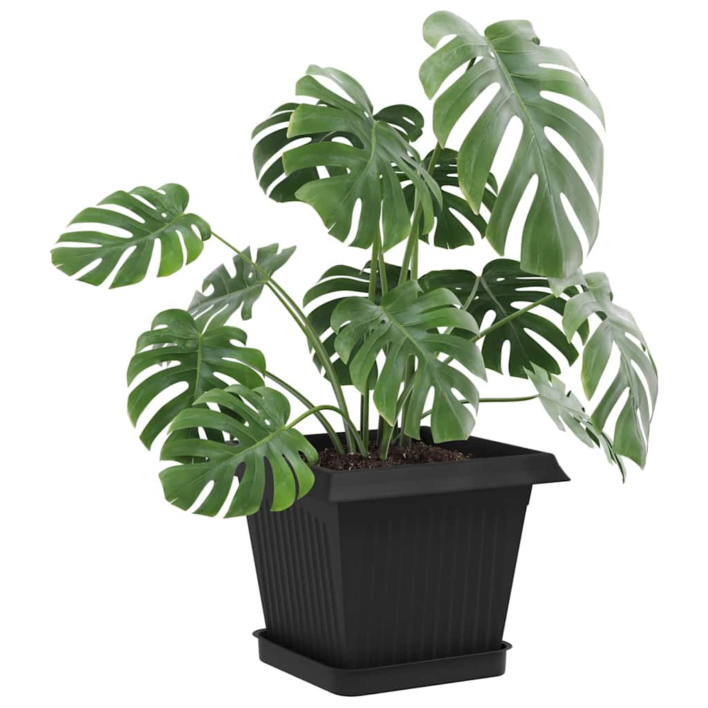 Kvadratinis gėlių padėklas 6 pcs Juoda 15 x 15 x 2 cm Plastmasė