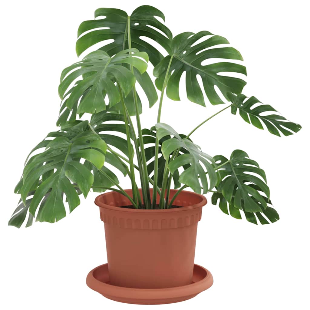 Augalų vazonai 6 pcs Raudona plyta Ø 12,5 x 10 cm Plastmasė