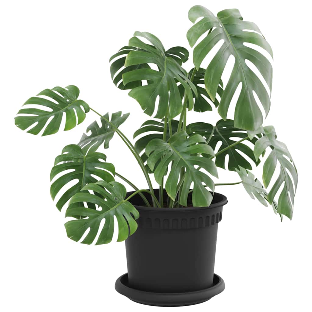 Augalų vazonai 6 pcs Juoda Ø 15 x 12 cm Plastmasė