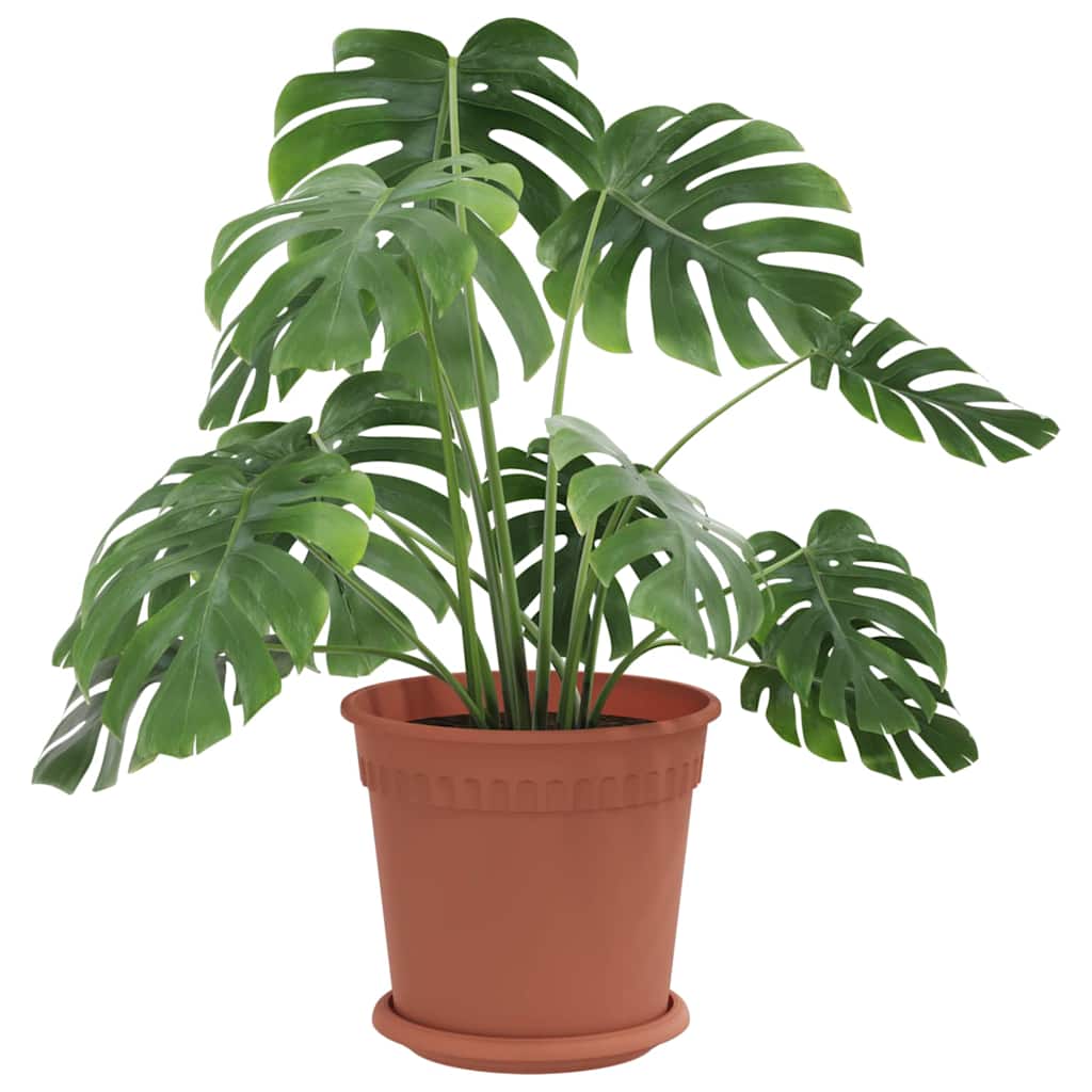 Augalų vazonai 24 pcs Raudona plyta Ø 19 x 16 cm Plastmasė