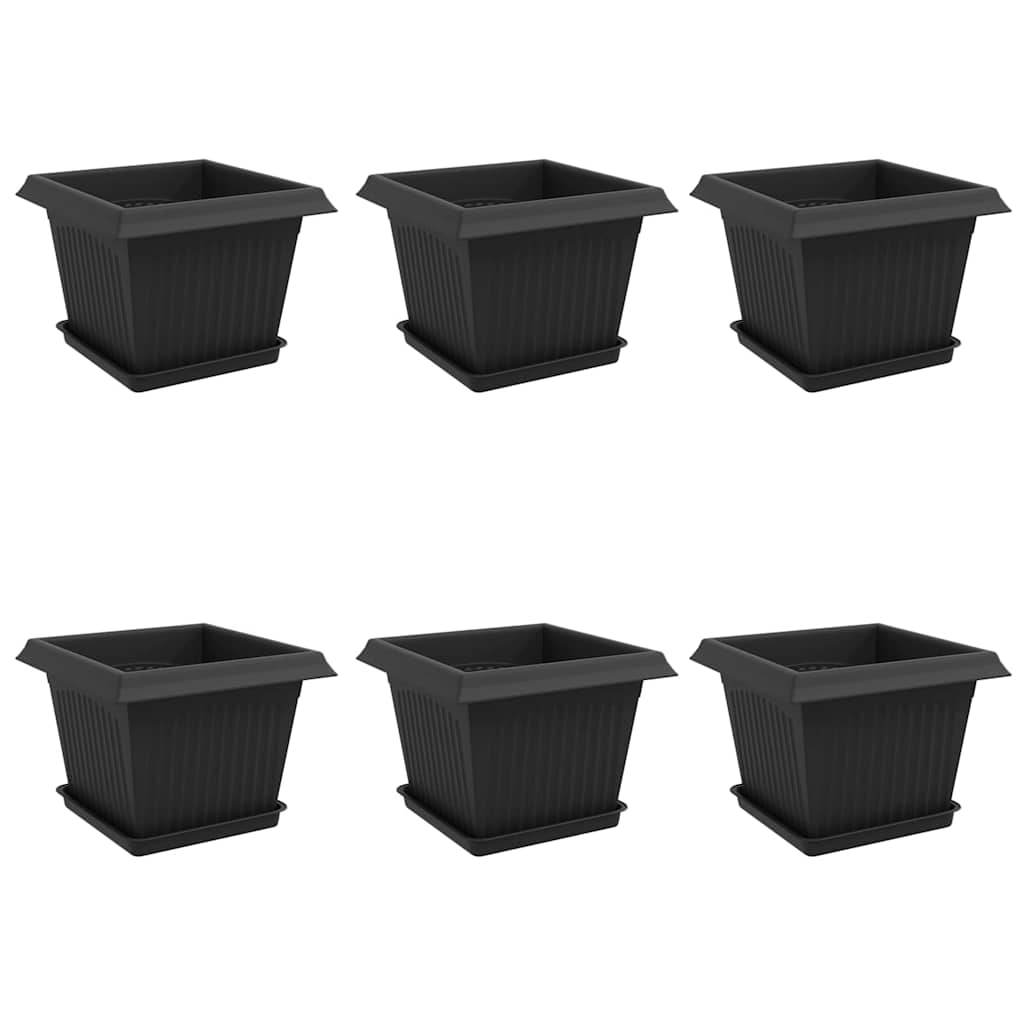 Augalų vazonai 6 pcs Juoda 23 x 23 x 17,5 cm Plastmasė