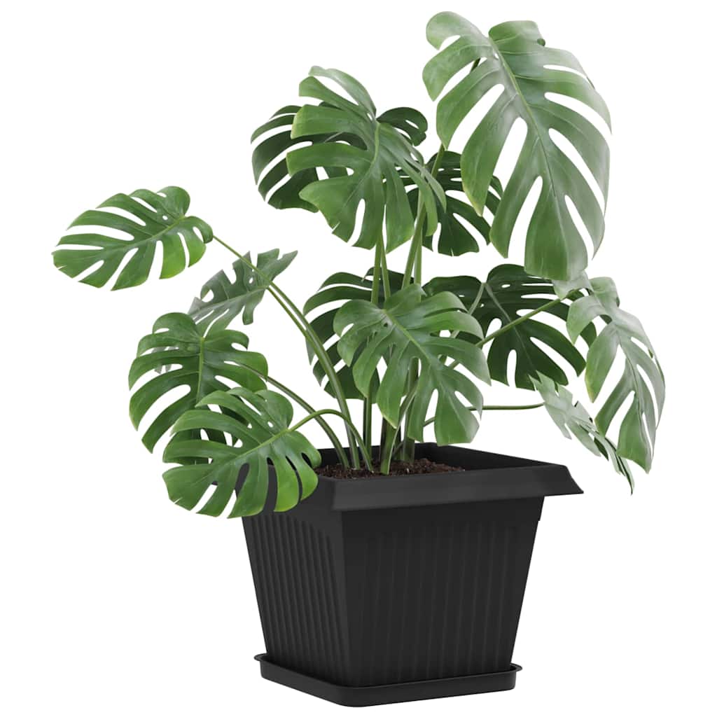 Augalų vazonai 6 pcs Juoda 28,5 x 28,5 x 22 cm Plastmasė