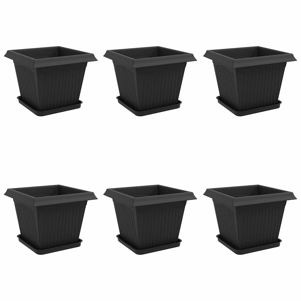 Augalų vazonai 6 pcs Juoda 33 x 33 x 26 cm Plastmasė