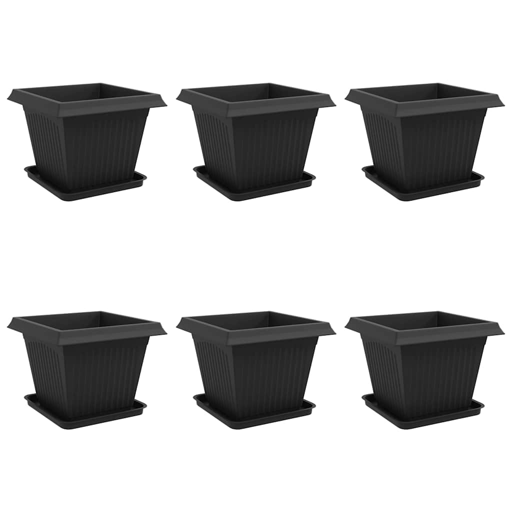 Augalų vazonai 6 pcs Juoda 43 x 43 x 33,5 cm Plastmasė