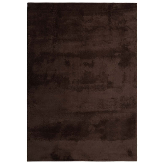Zoninės kiliminės dangos HUARTE Ruda 230 x 160 cm Poliesteris