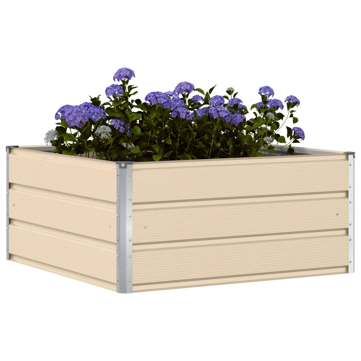 Lovelis Ivory 100 x 100 x 45 cm Plienas