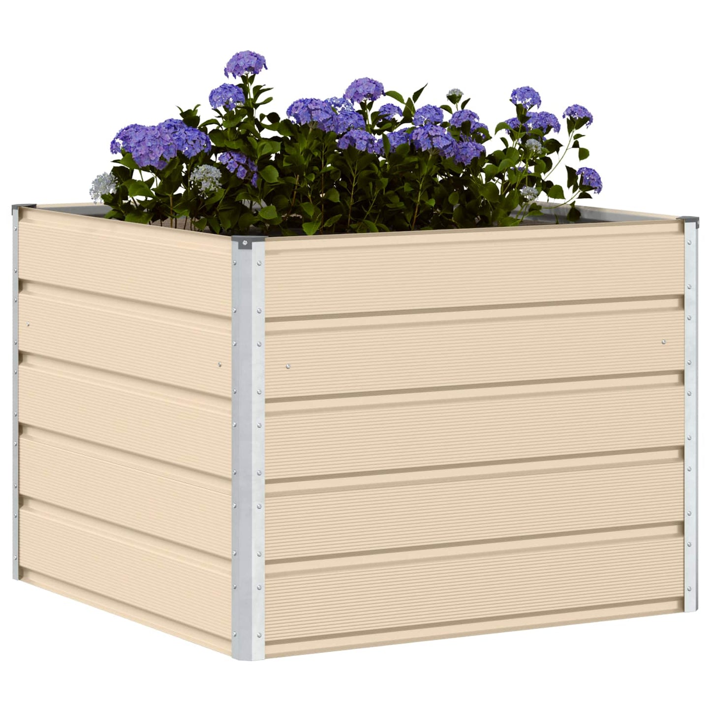 Lovelis Ivory 100 x 100 x 75 cm Plienas