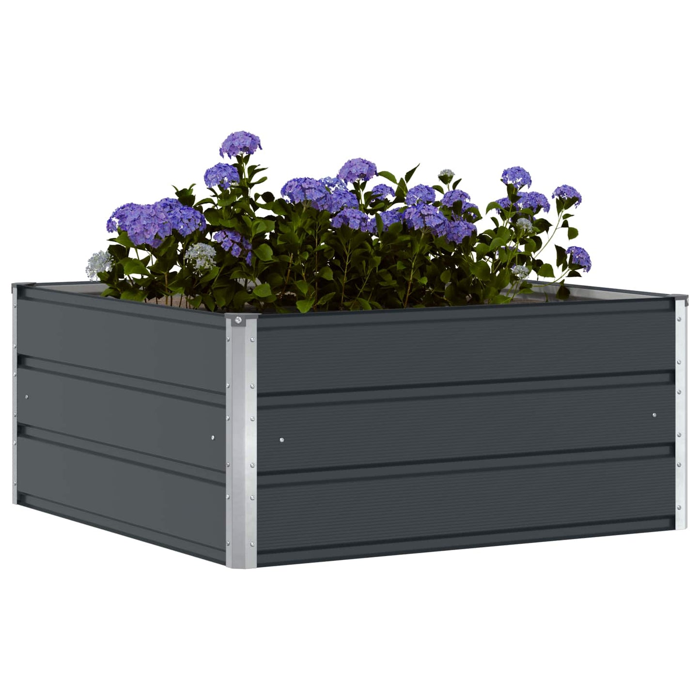 Lovelis Antracitas 100 x 100 x 45 cm Plienas