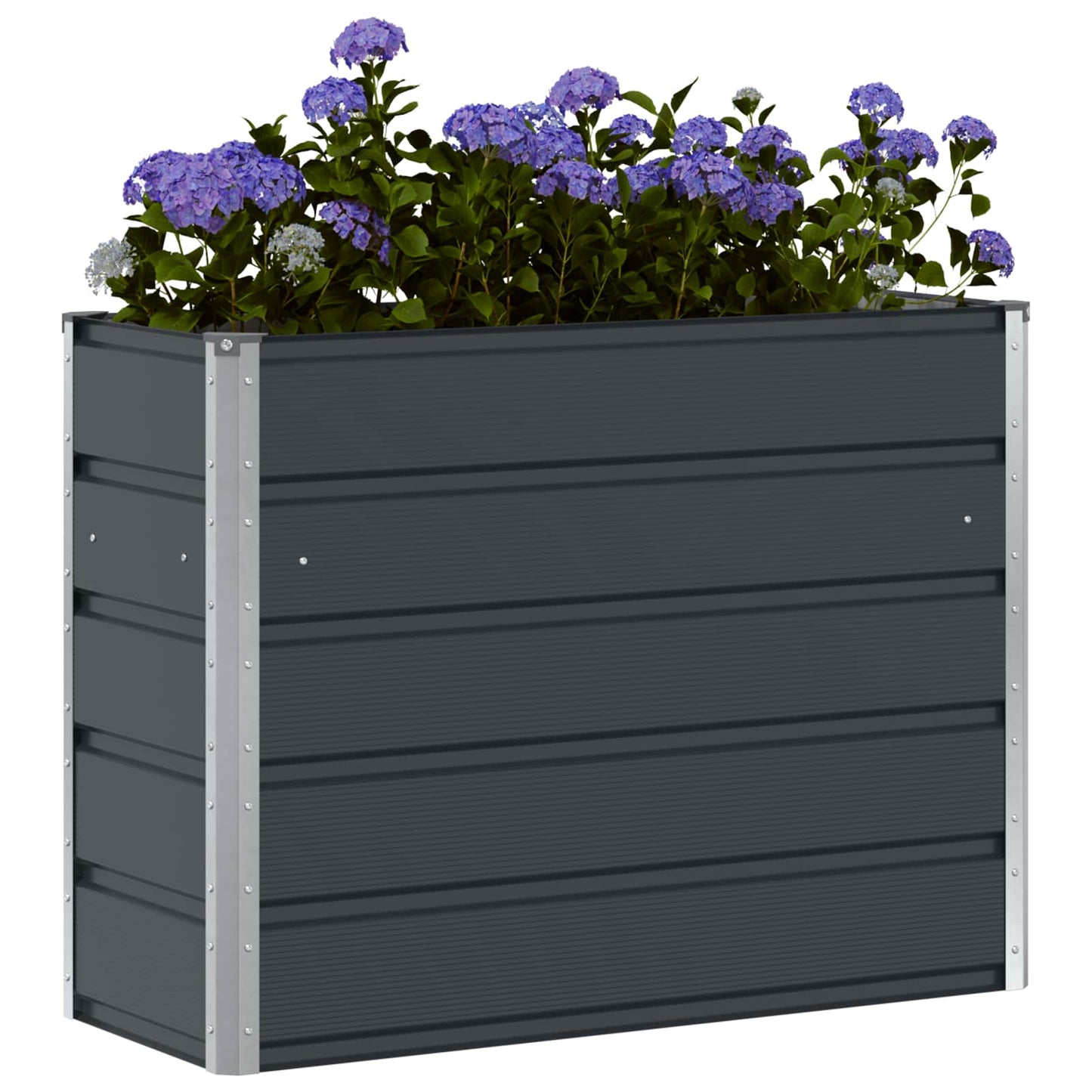 Lovelis Antracitas 100 x 40 x 75 cm Plienas