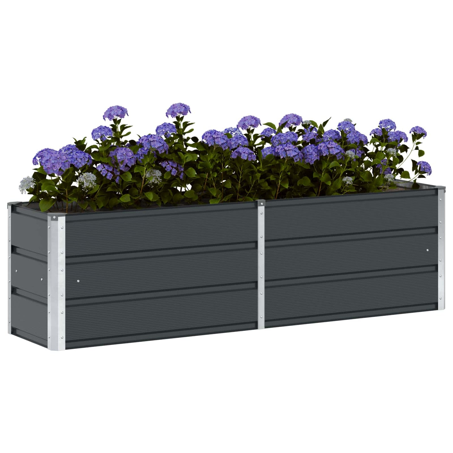 Lovelis Antracitas 160 x 40 x 45 cm Plienas