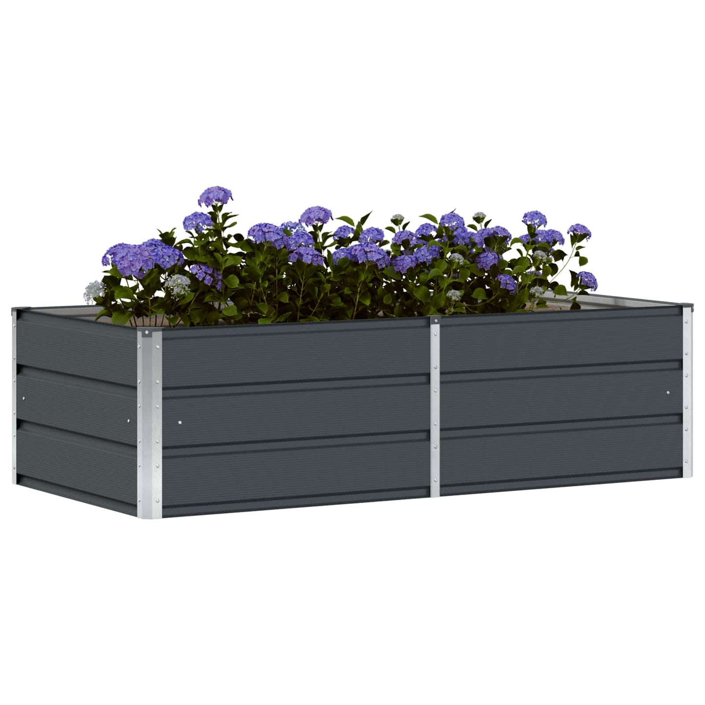 Lovelis Antracitas 160 x 80 x 45 cm Plienas