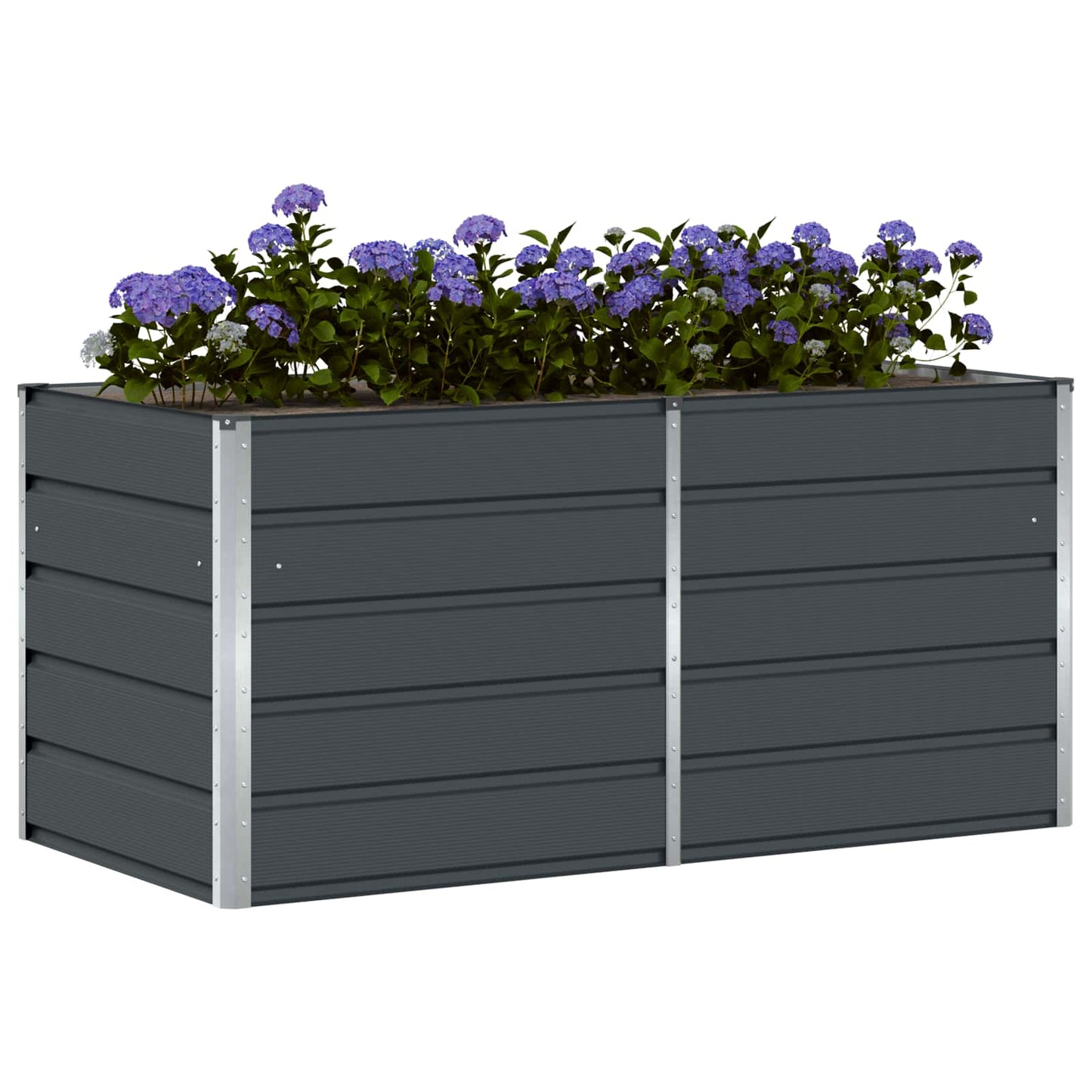 Lovelis Antracitas 160 x 80 x 75 cm Plienas