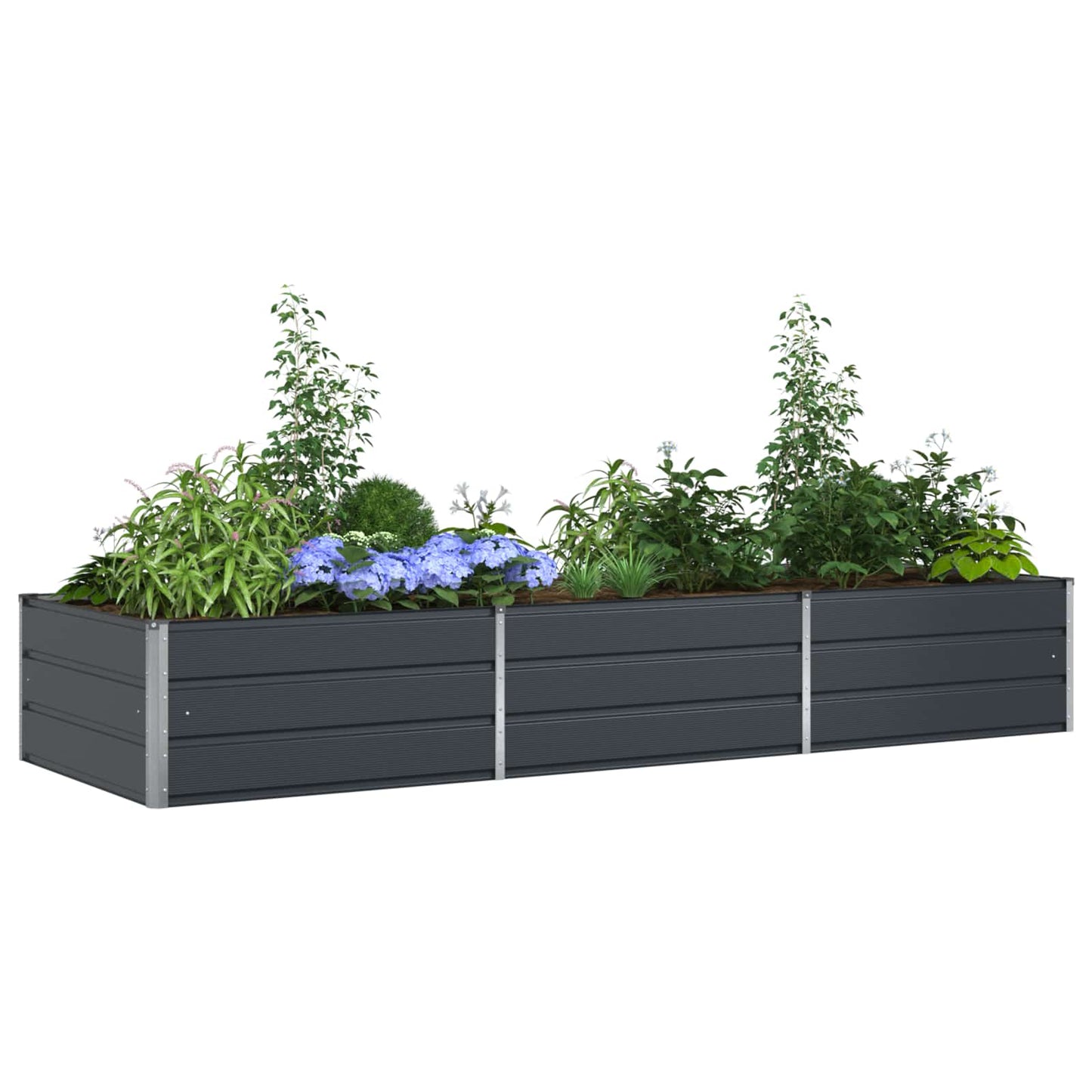 Lovelis Antracitas 290 x 100 x 45 cm Cinkuota plienas