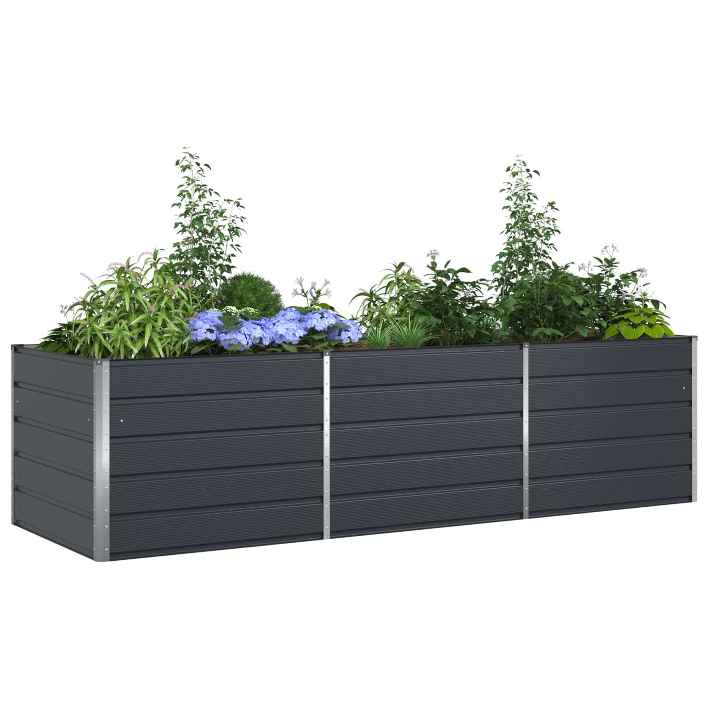 Lovelis Antracitas 290 x 100 x 75 cm Cinkuota plienas
