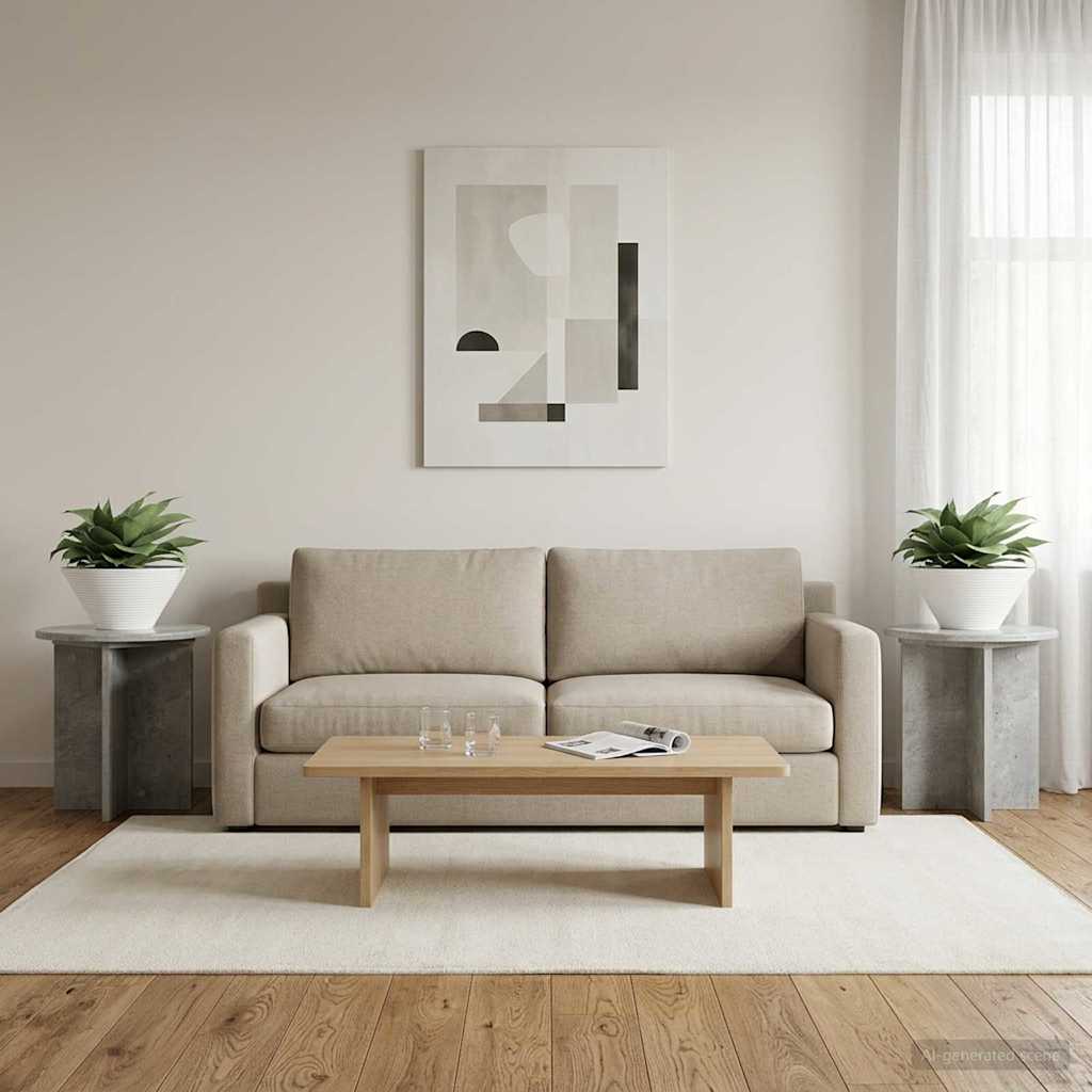 Augalų stovas 2 pcs Betono pilka 40 x 40 x 40 cm
